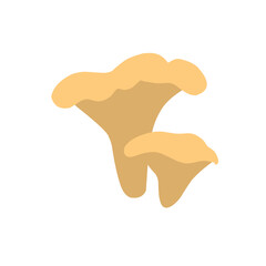 Mushrooms vector flat illustration