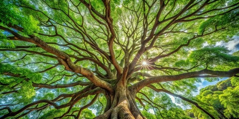 A vibrant tree with sprawling branches and lush green leaves, capturing the essence of nature's beauty and tranquility.