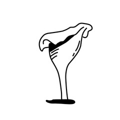 Hand drawn mushrooms. Vector illustration.