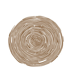 Hand drawn Tree rings wood slice texture. Abstract tree age year circle