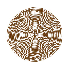 Hand drawn Tree rings wood slice texture. Abstract tree age year circle