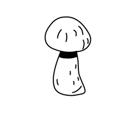 Hand drawn mushrooms. Vector illustration.