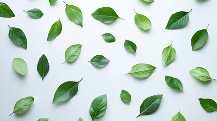 Naklejka premium White backdrop with delicate, minimalistic green leaves scattered, representing the theme of recycling and environmental sustainability.