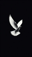 Minimalist image of a dove flying on black background - Concept for peace and freedom