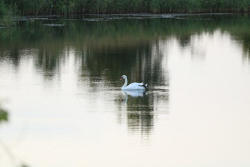 Photos of the lake during sunset from a drone and camera.