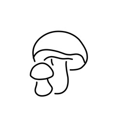 Mushrooms Drawings Vector Illustrations
