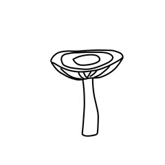 Mushrooms Drawings Vector Illustrations