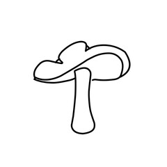 Mushrooms Drawings Vector Illustrations
