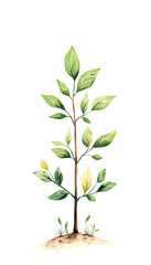 Fototapeta premium Beautifully illustrated young plant with vibrant green leaves, representing growth and renewal in nature.