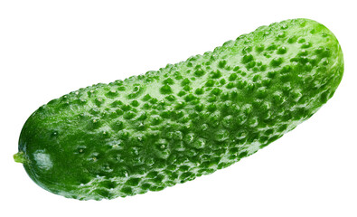Isolated cucumber. Fresh organic cucumber isolated clipping path. Cucumber macro studio photo