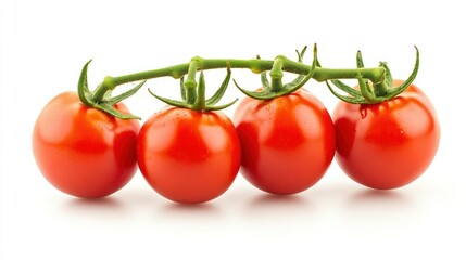 Four Red Tomatoes on a Green Vine