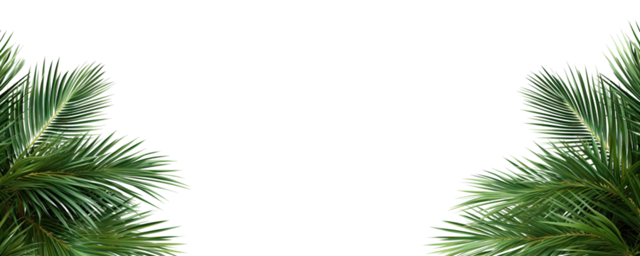 Set of green palm leaves on both sides, cut out