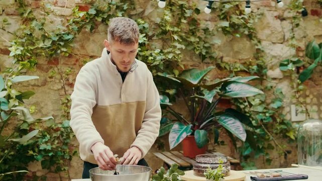 Transplanting mimi plant into new pot, home gardening, diy terrarium