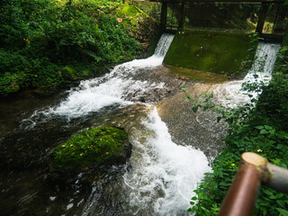 Cascading Beauty in a Lush Forest Oasis