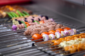 Kebabs - grilled meat and vegetables on skewers. Seekh kabab
