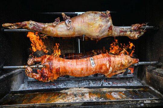 Whole lamb and pig are roasting on a spit over a fire pit