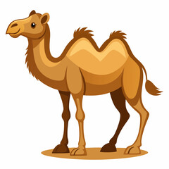 Bactrian camel vector illustration