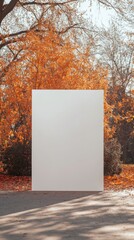 Portrait studio background, background, white panel, autumn/Winter outdoor environment,billboard, autumn, blank, sign, fall, nature, advertising, advertisement, trees, forest, park, empty, tree, lands