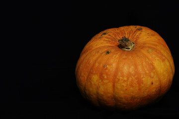 orange pumpkin on black background