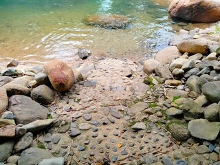 stones on the beach