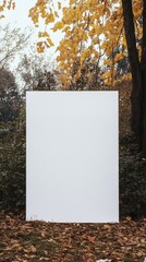 Create a portrait studio background image. The background is a large white panel on top of another white panel, placed in the autumn and winter outdoor environment