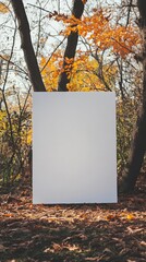 Create a portrait studio background image. The background is a large white panel on top of another white panel, placed in the autumn and winter outdoor environment