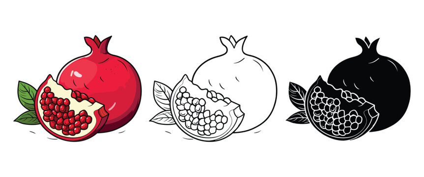 Pomegranate vector illustration, outline, silhouette on white background