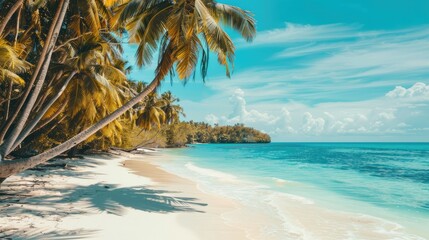 Fototapeta premium Tropical paradise beach with white sand and coconut palms - travel and tourism concept background.