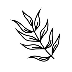 Cartoon autumn pecan tree leaves line icon isolated on white background.