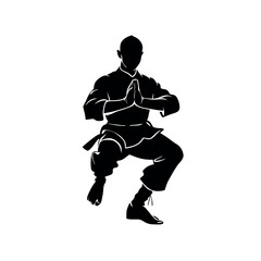 a strong muscle male martial arts kung fu man standing in a powerful pose, highlighted in silhouette against an isolated white background