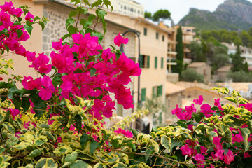 Landscape in Soller port, Mallorca, Balearic Islands, Spain