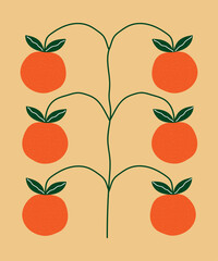 Orange tree