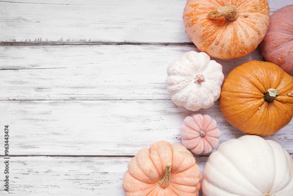Poster autumn side border of pastel pumpkins of various sizes and colors over a rustic white wood backgroun