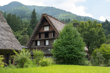 夏の白川郷, 岐阜県