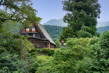 夏の白川郷, 岐阜県