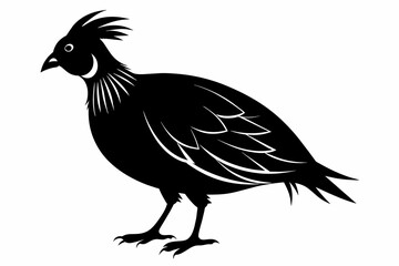 Partridge silhouette black color vector art illustration 