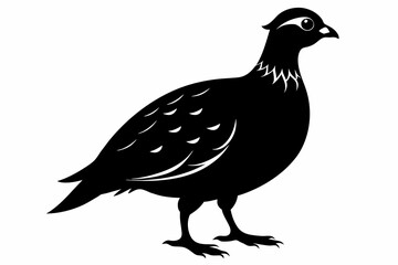 Partridge silhouette black color vector art illustration 