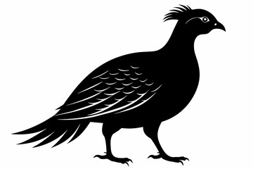 Partridge silhouette black color vector art illustration 