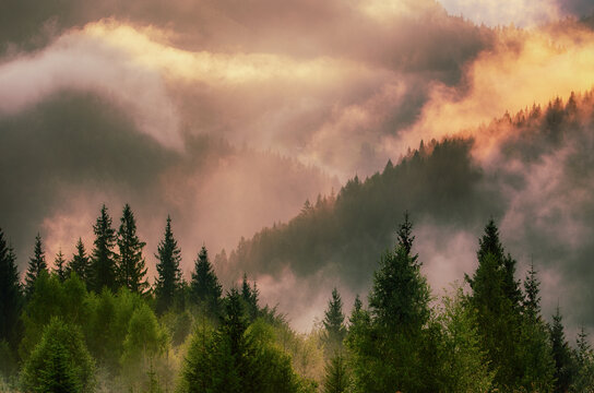 Misty mountain landscape