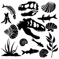 Set of vector silhouettes of dinosaur fossils and ancient animals. © Natthaporn