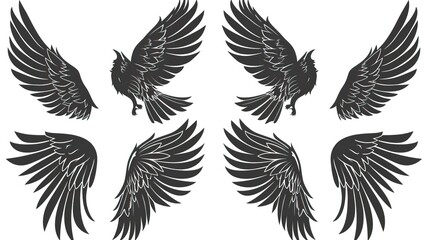 Obraz premium Set of black wings icons. Wings badges. Collection wings badges. Vector illustration