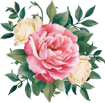  flower elements Watercolor botanical illustration of a dep pink rose.