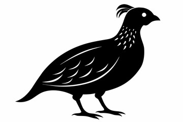 Quail silhouette black color vector art illustration