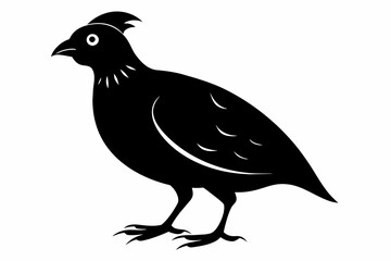 Quail silhouette black color vector art illustration