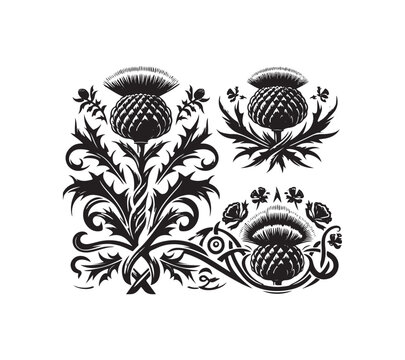 Scottish thistle vector art in Celtic style flower illustration