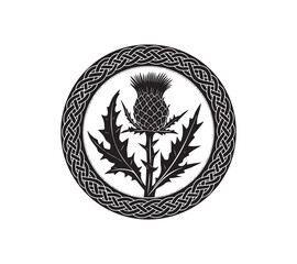Scottish thistle vector art in Celtic style flower illustration