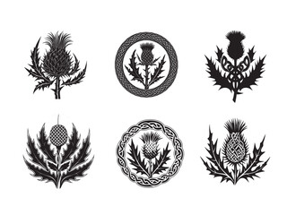 Obraz premium Scottish thistle vector art in Celtic style flower illustration