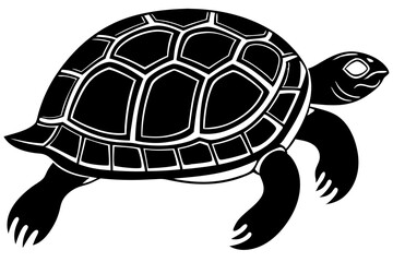 Turtle silhouette vector illustration 