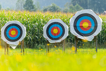 Archery targets on olympic bow and arrow shooting range close to ground with yellow flower dots 3