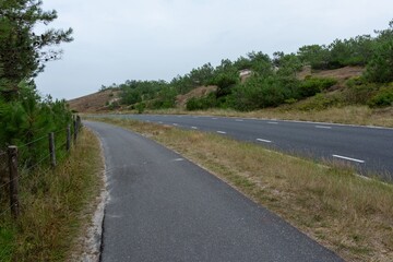 lonely cycle path and road in the Schoorlse Duinen, Netherlands